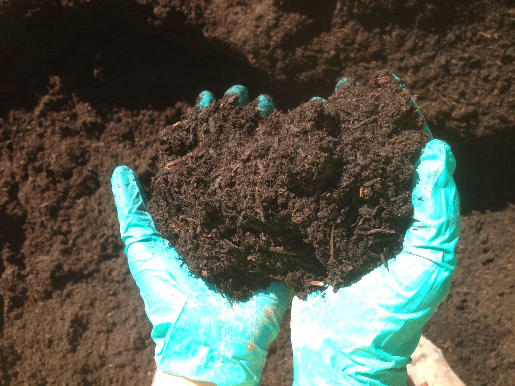 Premium Mushroom Compost available at Rockingham Soils & Garden Supplies